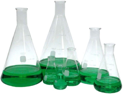 Erlenmeyer Flasks