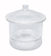 10in Desiccator