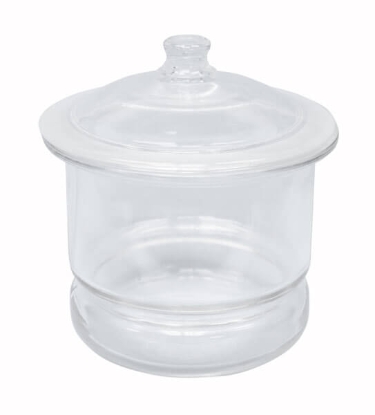 10in Desiccator