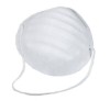 Disposable Dust Masks