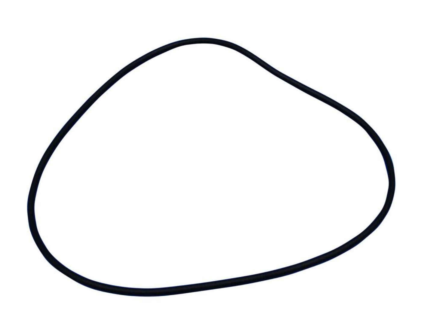 Picture of Gilsonic Ultrasiever® Diaphragm Seal Gasket
