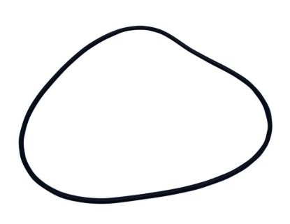 Picture of Gilsonic Ultrasiever® Diaphragm Seal Gasket