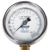 Picture of Replacement Stainless Steel Gauge