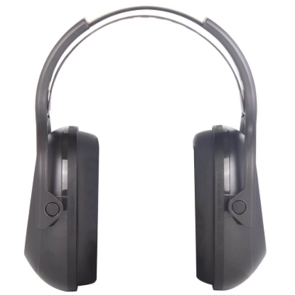 Picture of Hearing Protector
