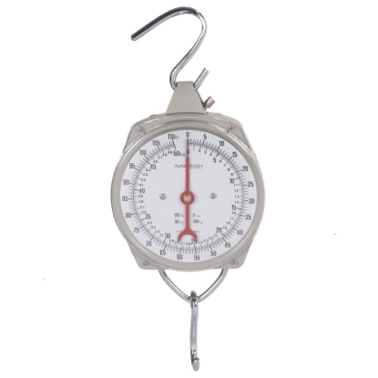 Picture of Suspension Scale