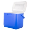 Picture of Insulated Container