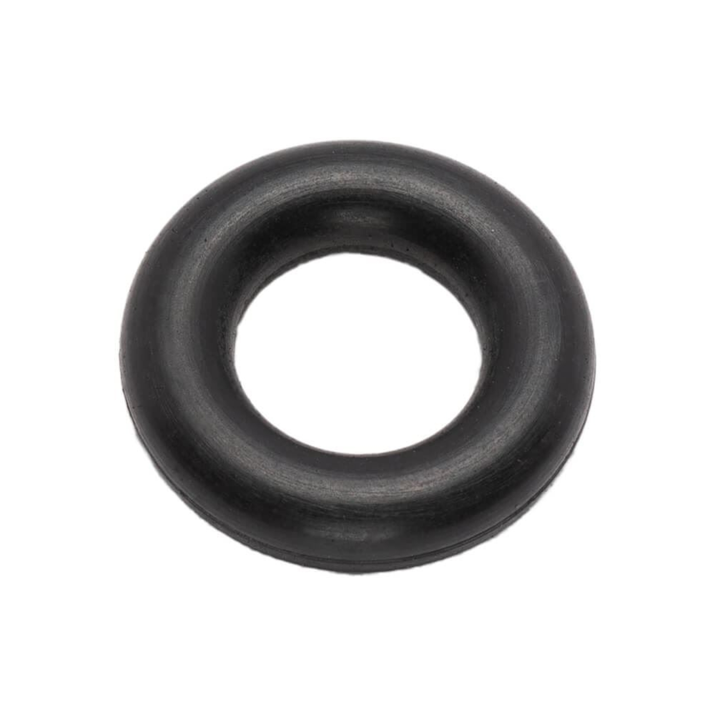 Picture of Pump Plunger O-Ring