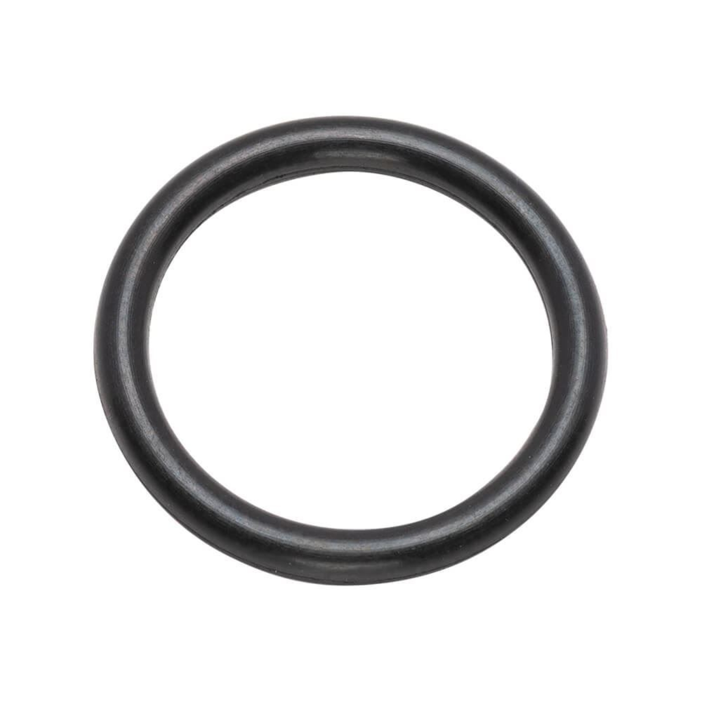 Picture of Pump Housing O-Ring